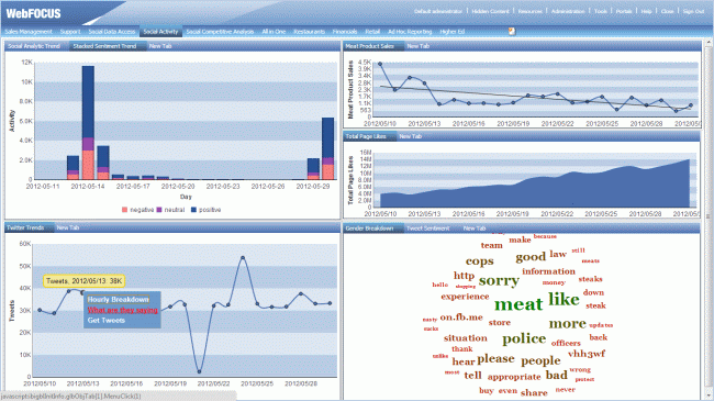 Information Builders WebFOCUS